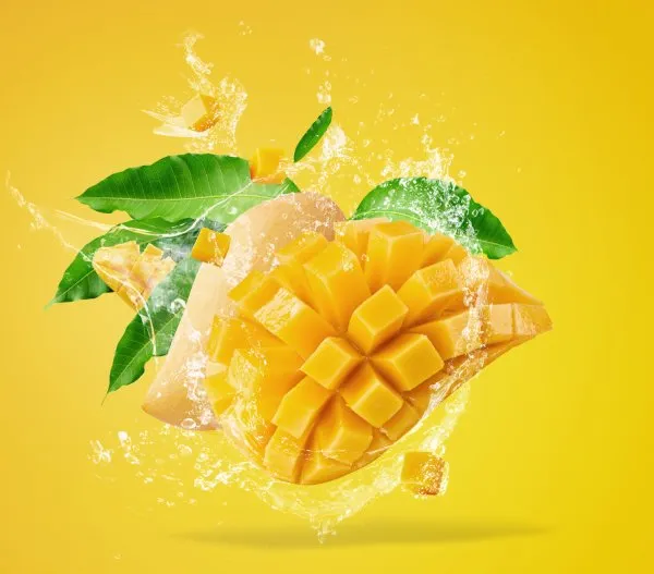 Recovery Nutrition Lifestyle – Wello Recoop Mango