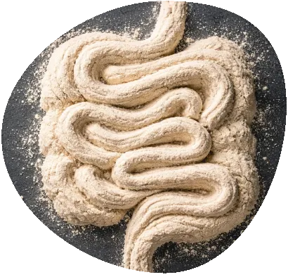 Prebiotics + Probiotics + Enzymes